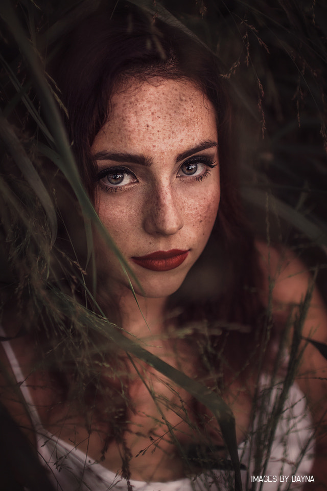 Sigma 30mm F1.4 EX DC HSM sample photo. Devon photography
