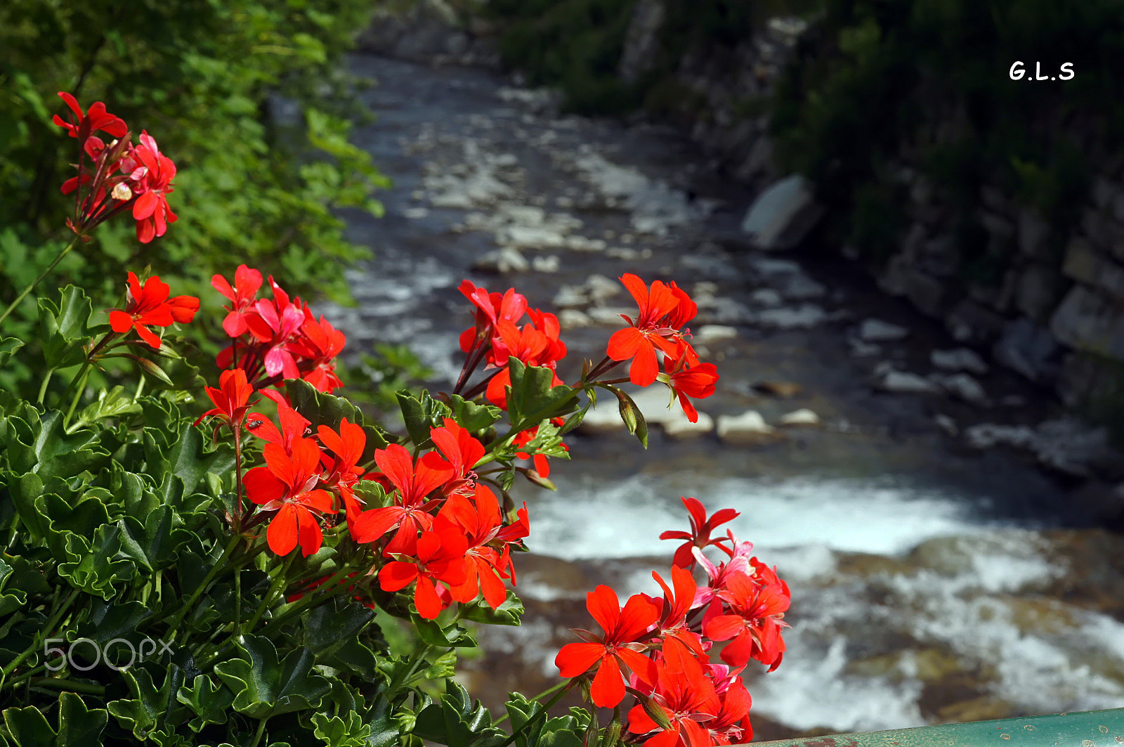 Minolta AF 50mm F3.5 Macro sample photo. Le torrent fleuri photography