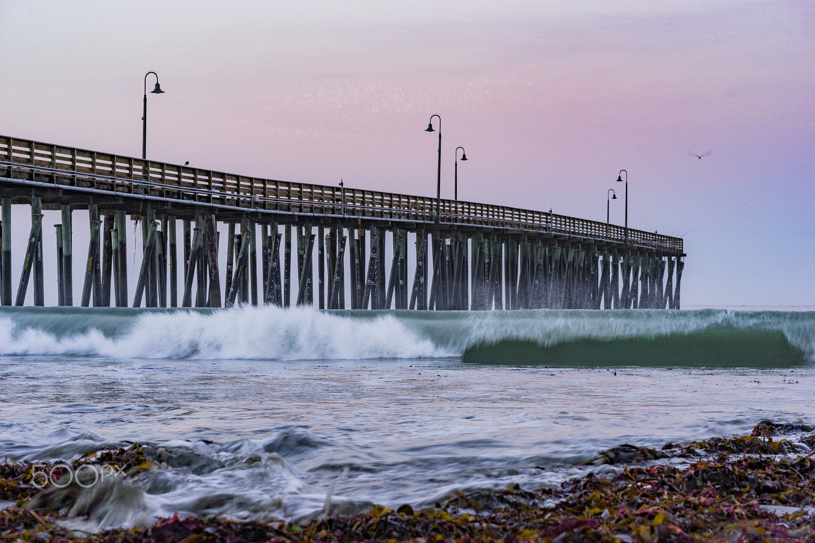 Sony a99 II + Sony 85mm F2.8 SAM sample photo. Morning on the beach photography