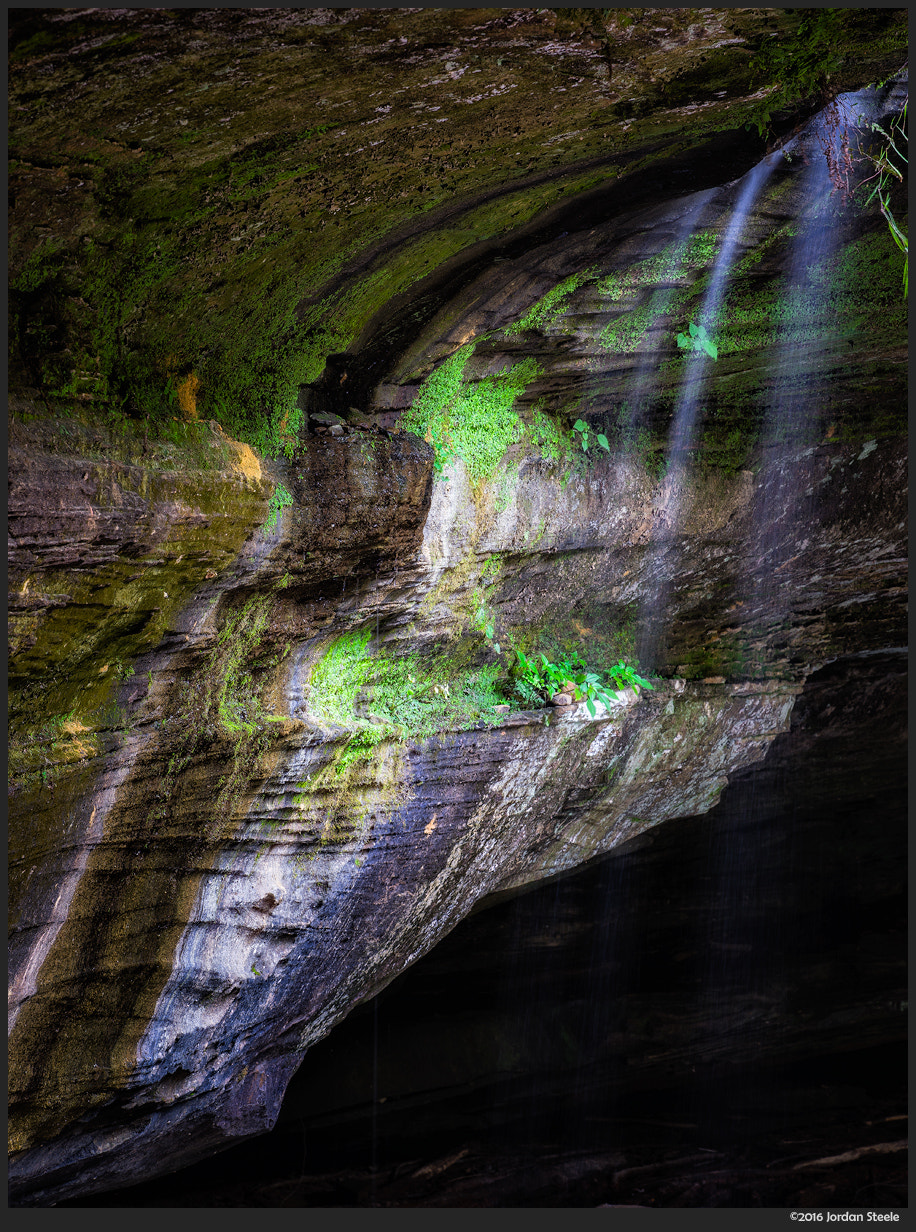 Sony a7 II + Canon EF 70-200mm F4L USM sample photo. Under cedar falls photography