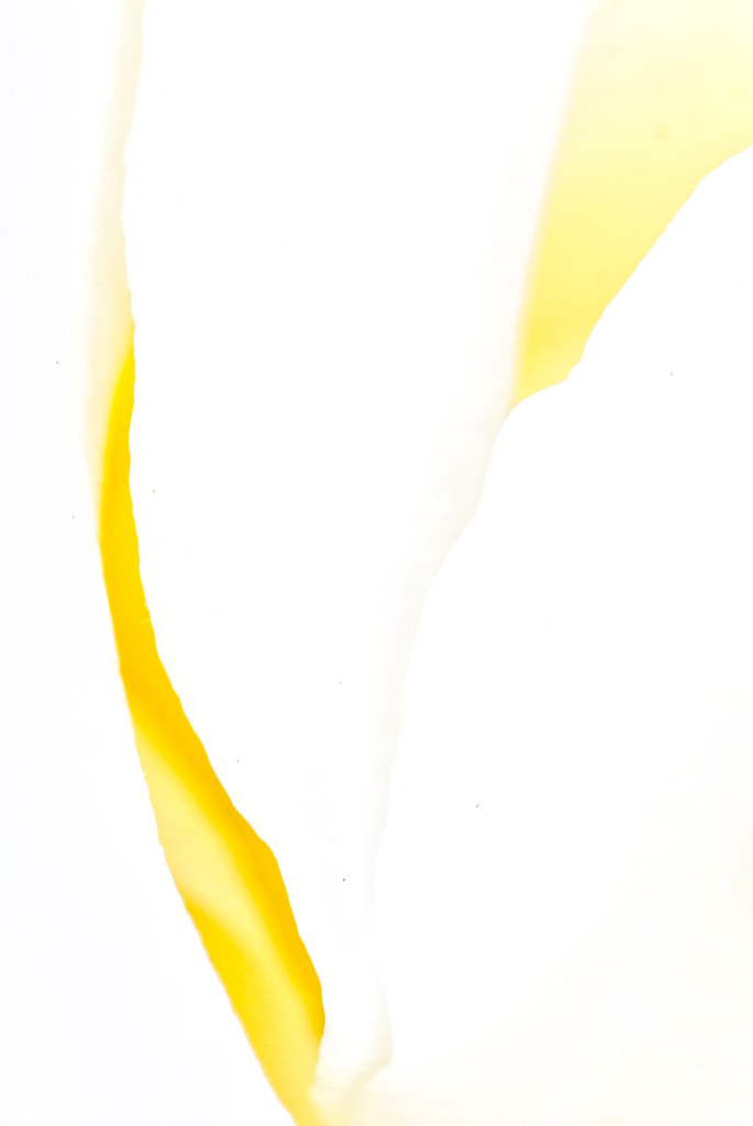 Sigma APO Macro 150mm f/2.8 EX DG HSM sample photo. Escorzo photography
