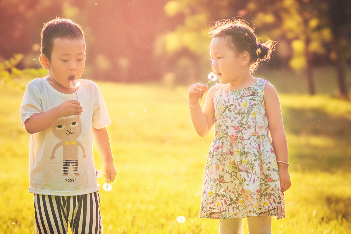 Sony 135mm F2.8 [T4.5] STF sample photo. 蒲公英 photography