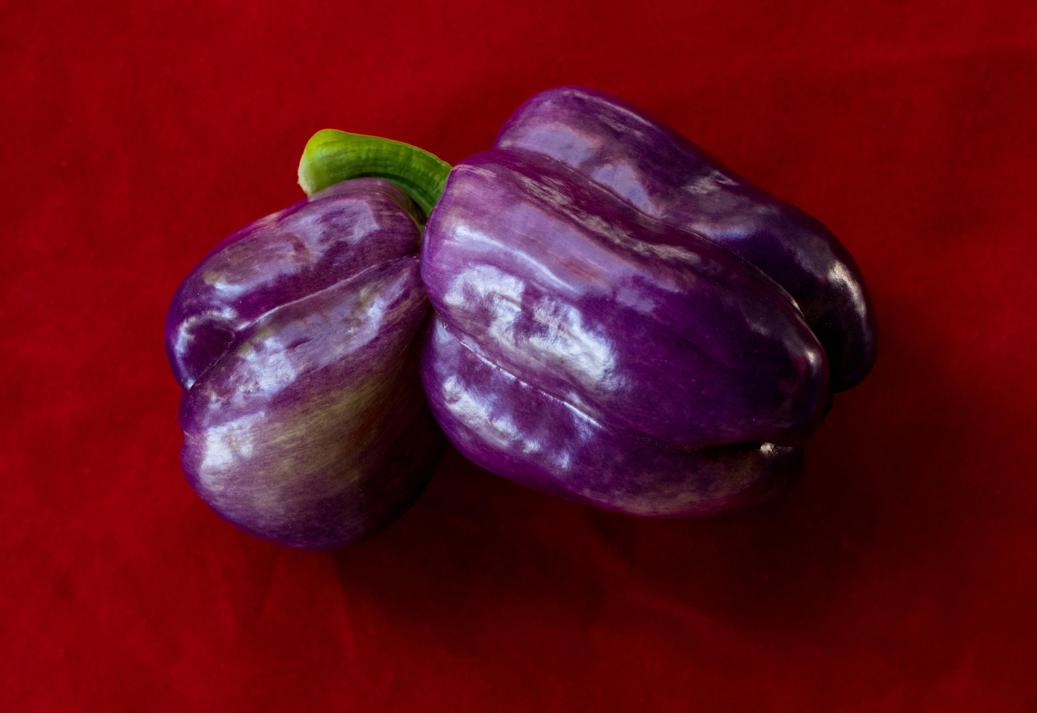smc PENTAX-FA Macro 50mm F2.8 sample photo. Purple pepper photography