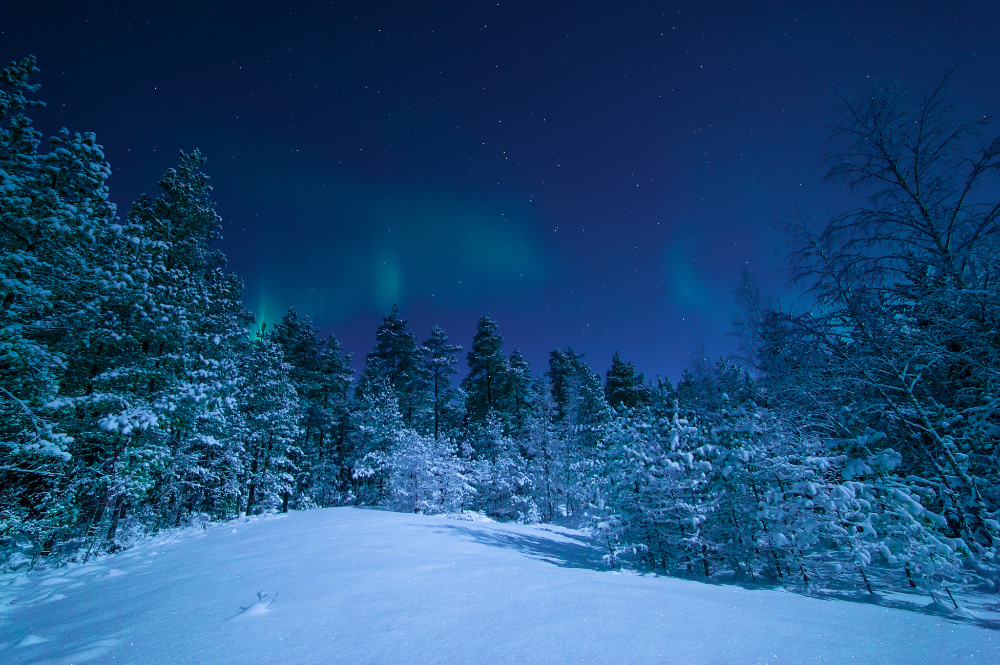 Nikon D3 sample photo. Stars and lights photography