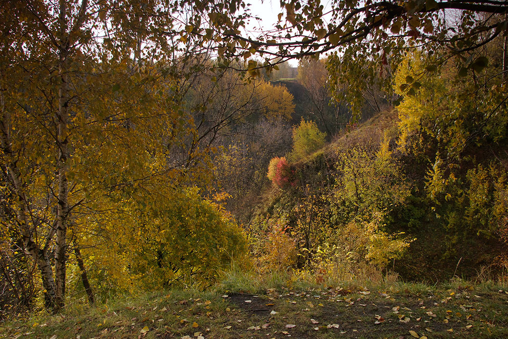 Pentax K110D + Pentax smc DA 18-55mm F3.5-5.6 AL sample photo. Golden autumn. photography