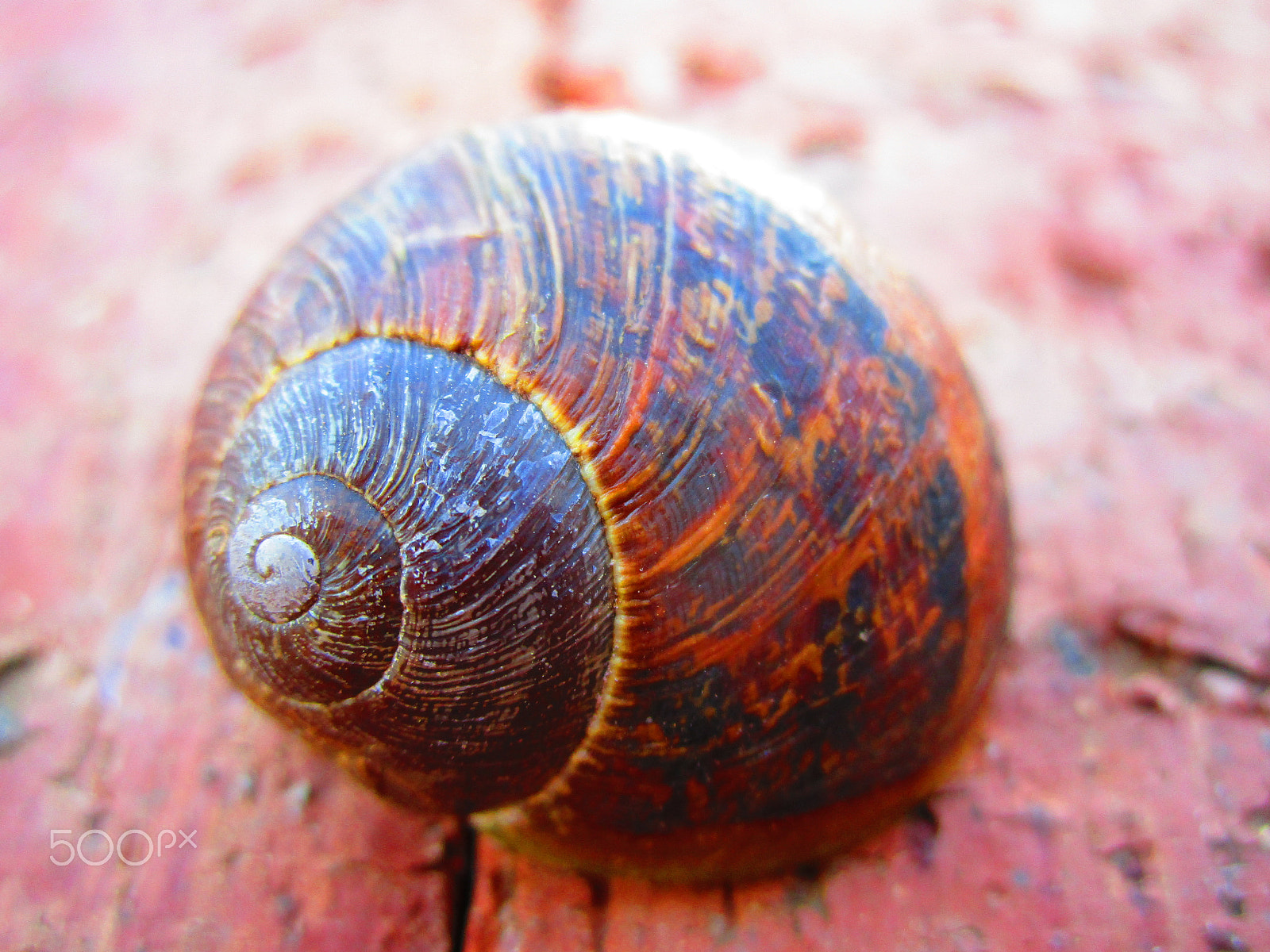 Canon PowerShot ELPH 190 IS (IXUS 180 / IXY 190) sample photo. Img photography