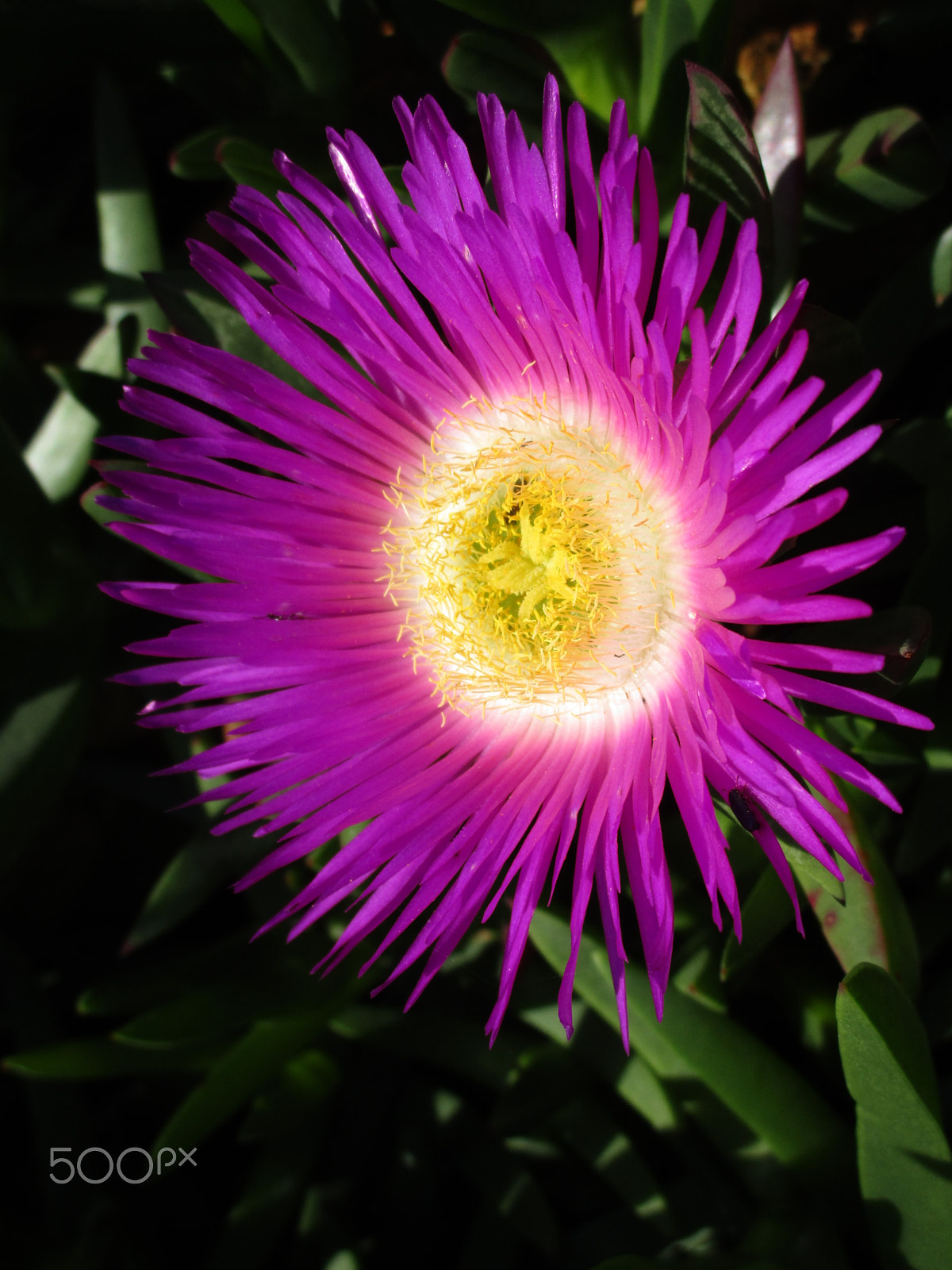 Canon PowerShot ELPH 190 IS (IXUS 180 / IXY 190) sample photo. Img photography
