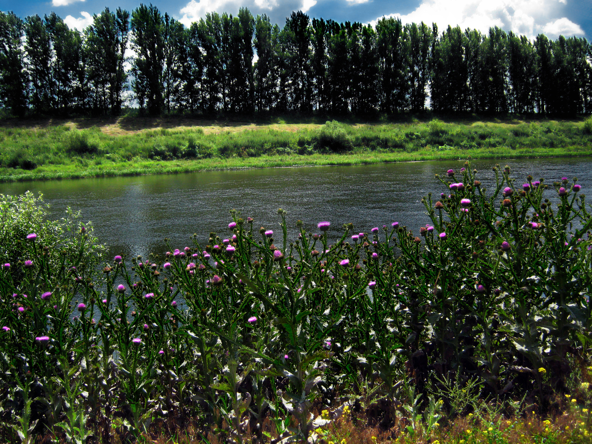 Canon PowerShot A800 sample photo. River don in kudykin mountains photography