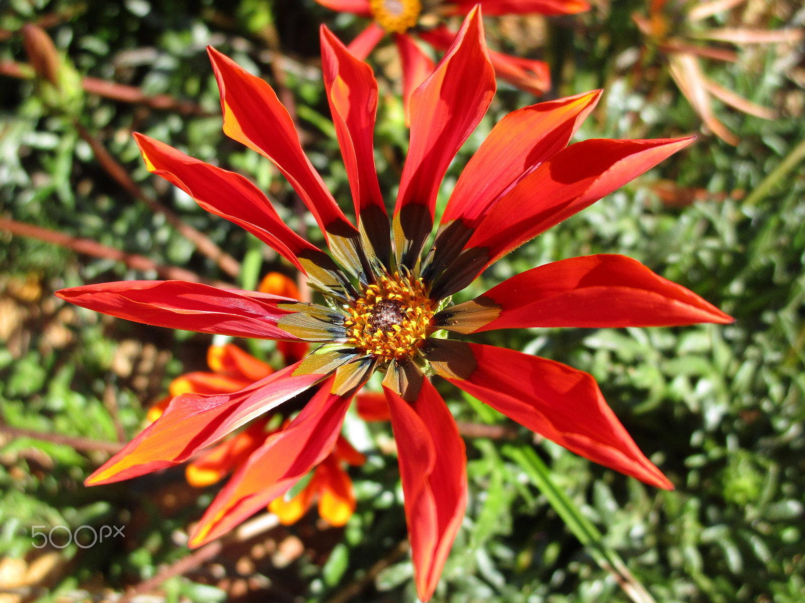 Canon PowerShot ELPH 190 IS (IXUS 180 / IXY 190) sample photo. Img photography