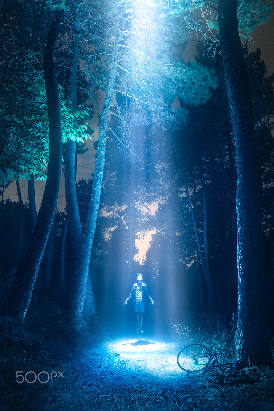 Nikon D600 + Sigma 24-105mm F4 DG OS HSM Art sample photo. The abduction photography