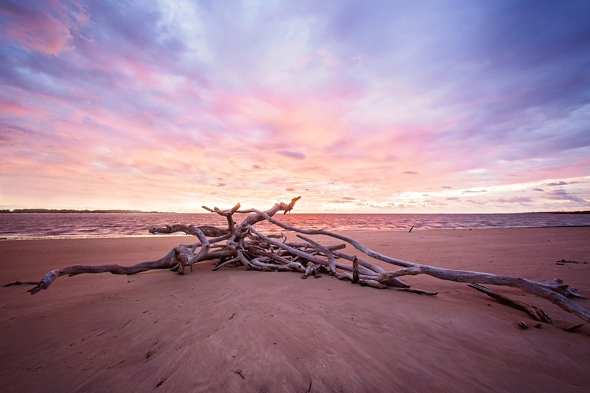 Canon EOS 5D Mark II + Canon EF 14mm F2.8L USM sample photo. Driftwood photography