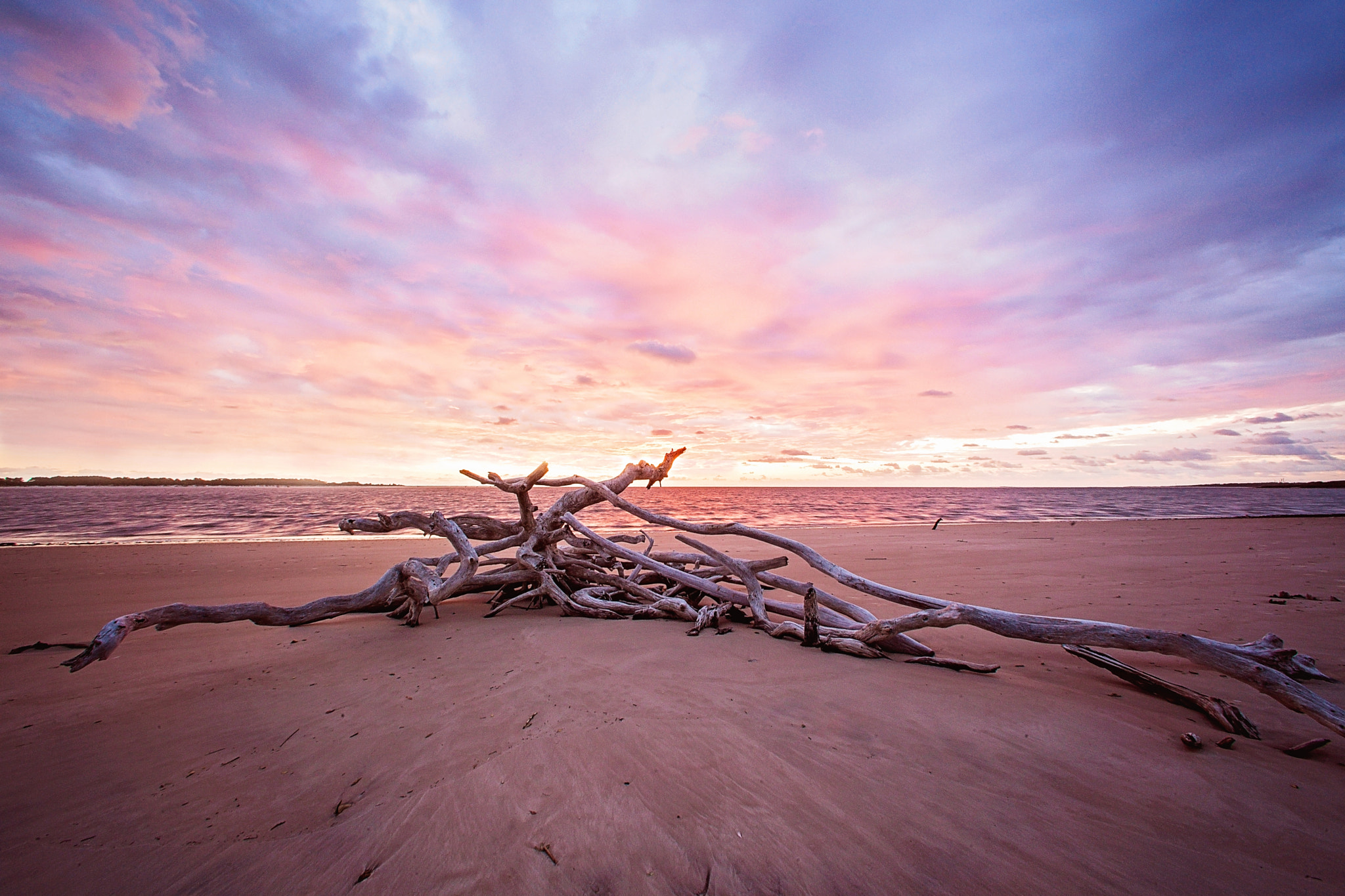 Canon EF 14mm F2.8L USM sample photo. Driftwood photography