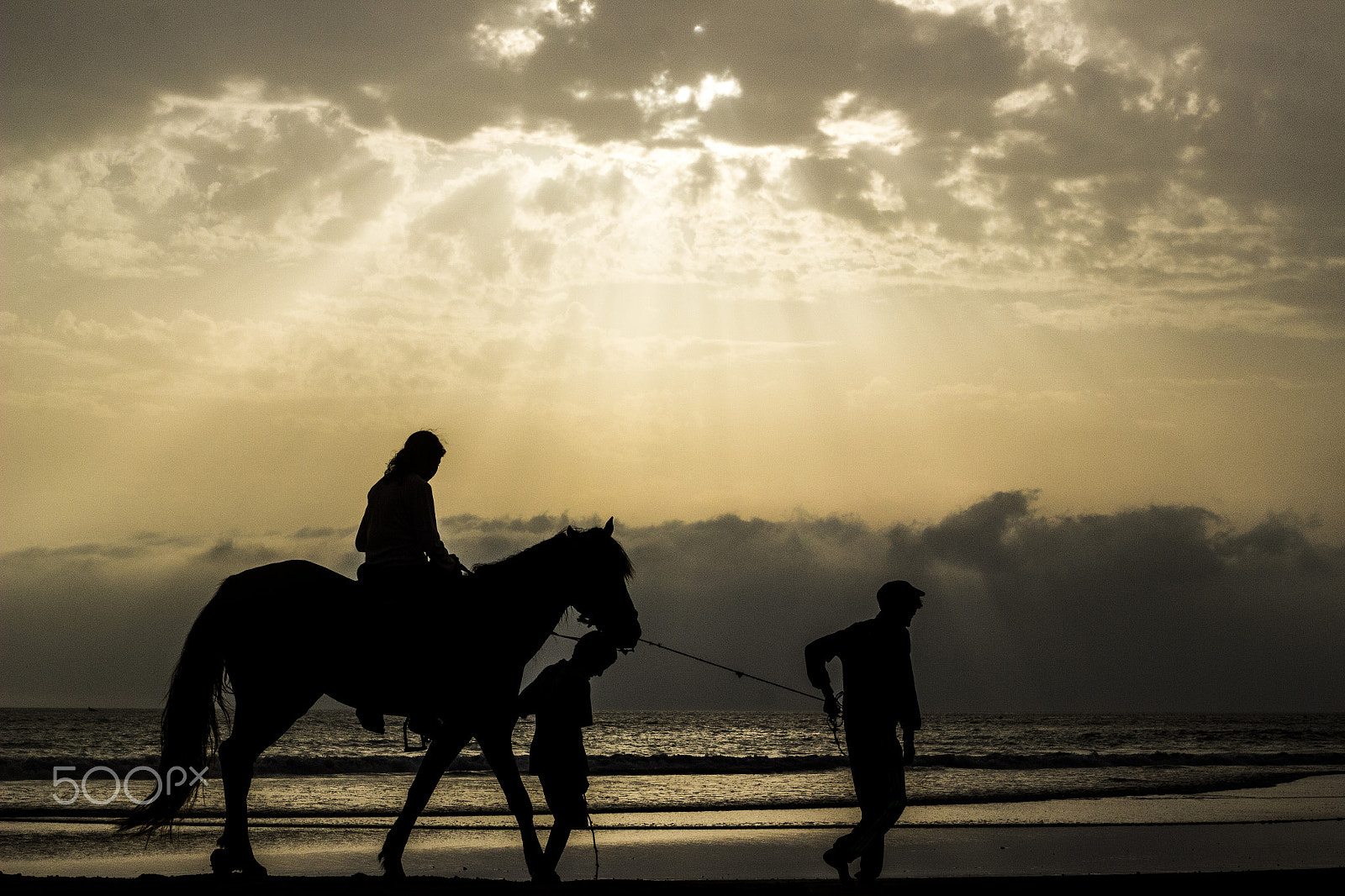 Canon EF 50mm f/1.8 sample photo. Time spent with a horse is never wasted photography