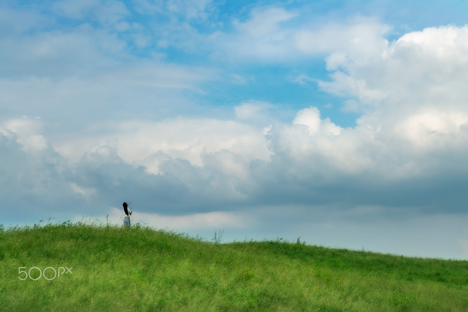 Sony a7R II + Sony FE 28-70mm F3.5-5.6 OSS sample photo. Summer breeze photography