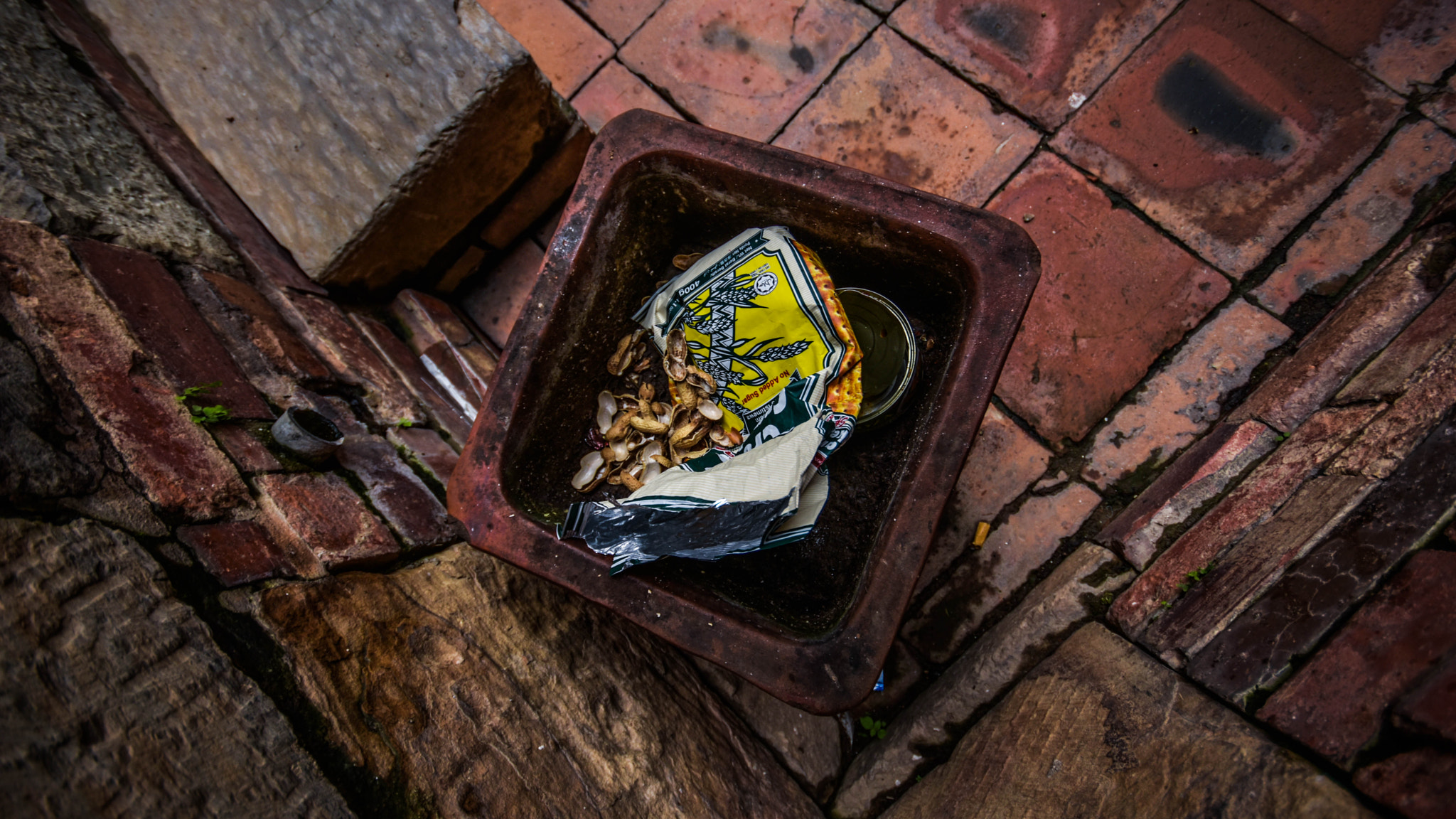 Sigma 10-20mm F4-5.6 EX DC HSM sample photo. Dustbin photography