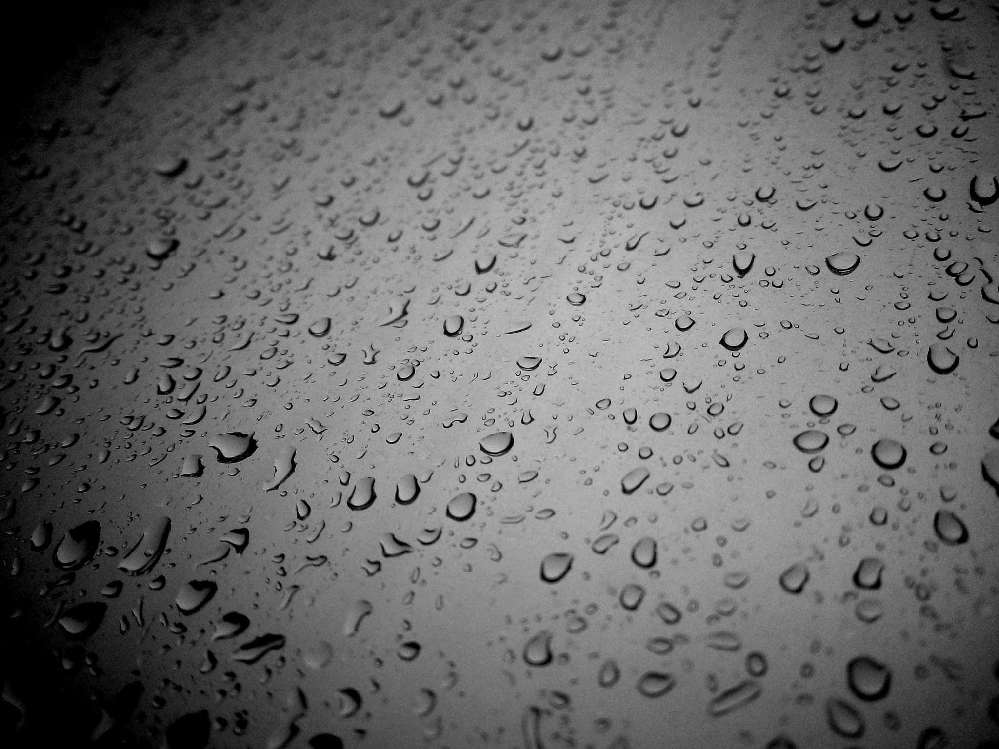 Meizu MX(35) sample photo. Falling photography