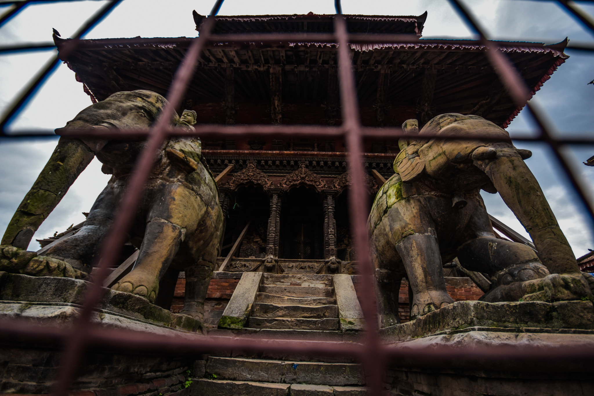 Sigma 10-20mm F4-5.6 EX DC HSM sample photo. Elephent inside cage. photography