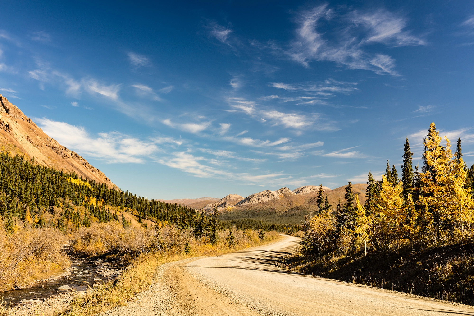 Sigma 50mm F1.4 EX DG HSM sample photo. Autumn in denali photography