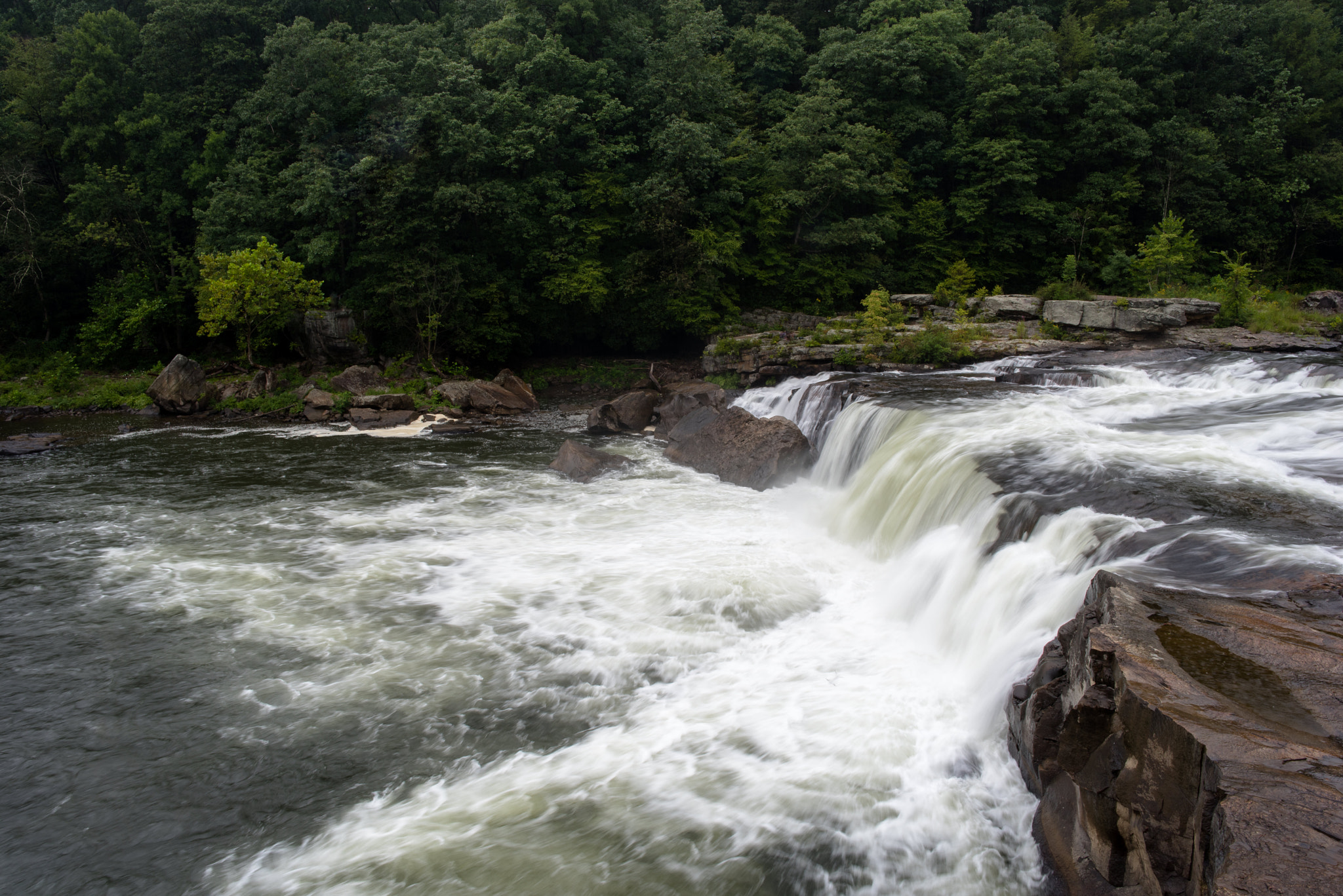 Samyang 12mm F2.8 ED AS NCS Fisheye sample photo. Ohiopyle falls photography