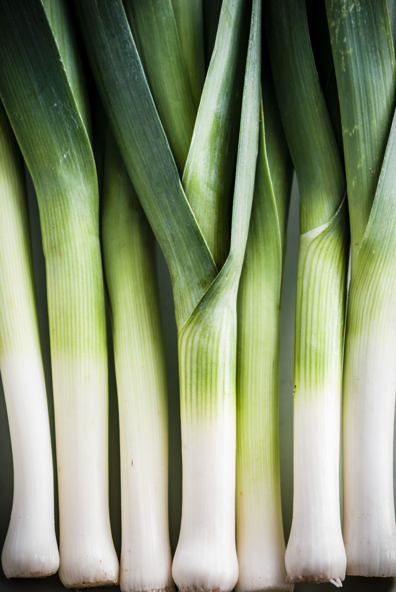 Nikon D80 + AF Nikkor 85mm f/1.8 sample photo. Baby leeks59.jpg photography