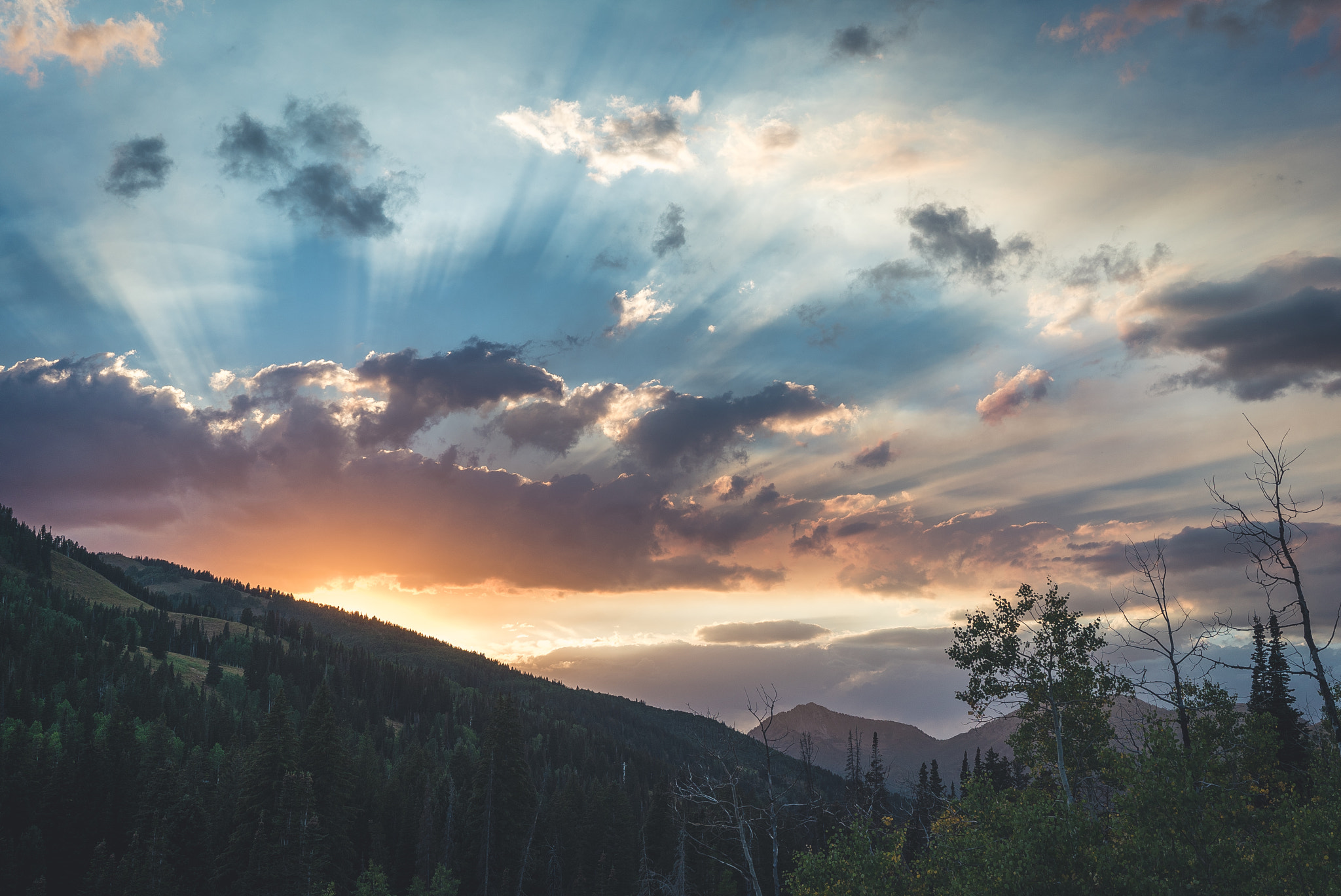 Sony a7S II + Sony Sonnar T* FE 35mm F2.8 ZA sample photo. Sunset in solitude photography