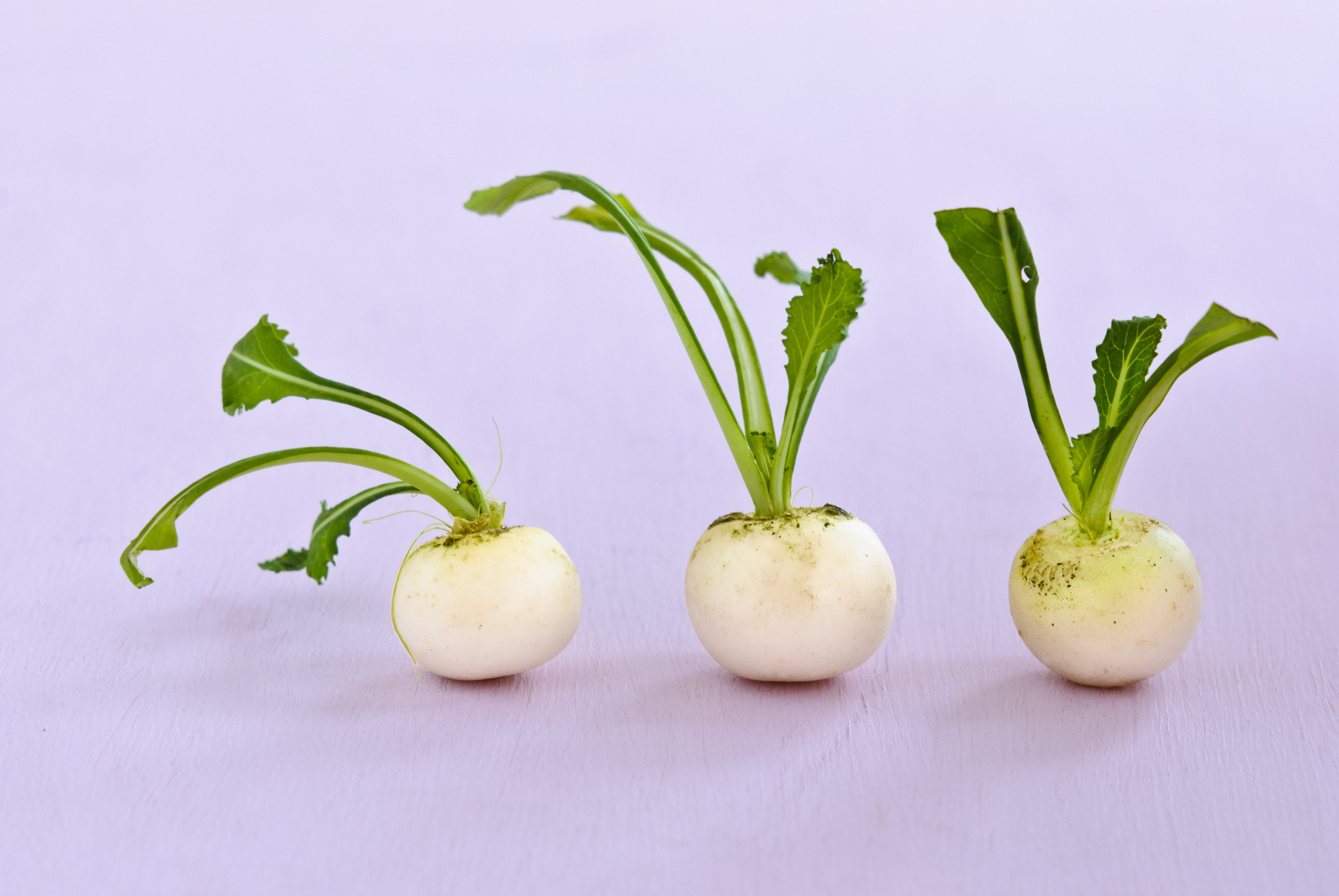 Nikon D80 + AF DC-Nikkor 135mm f/2 sample photo. Baby turnips-1845.jpg photography