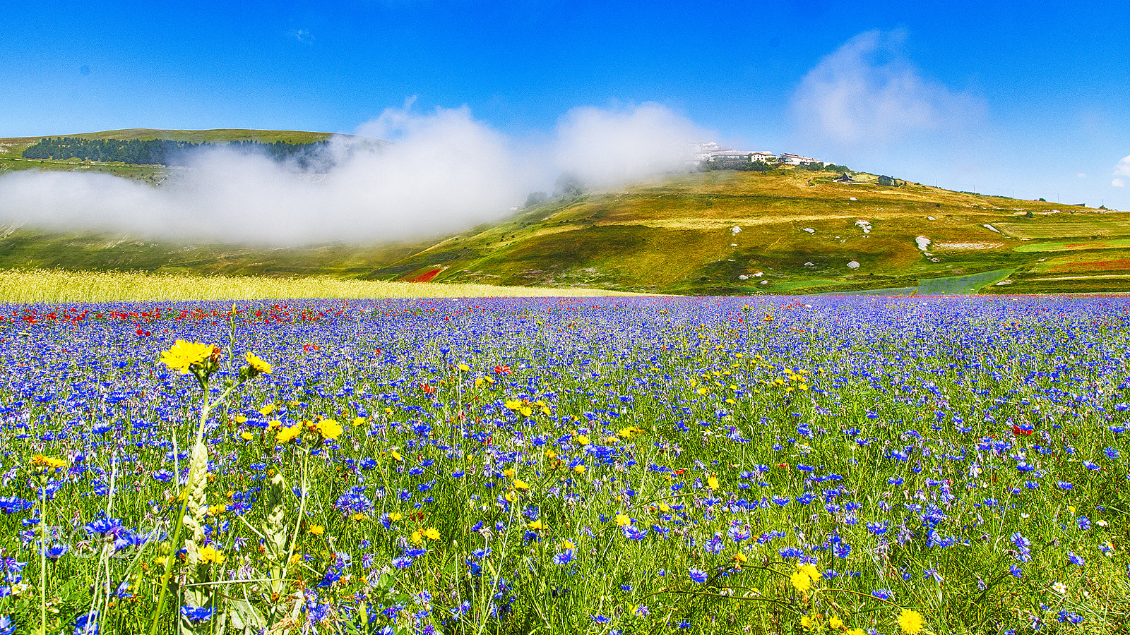 Pentax K-3 II sample photo. Castelluccio fog photography