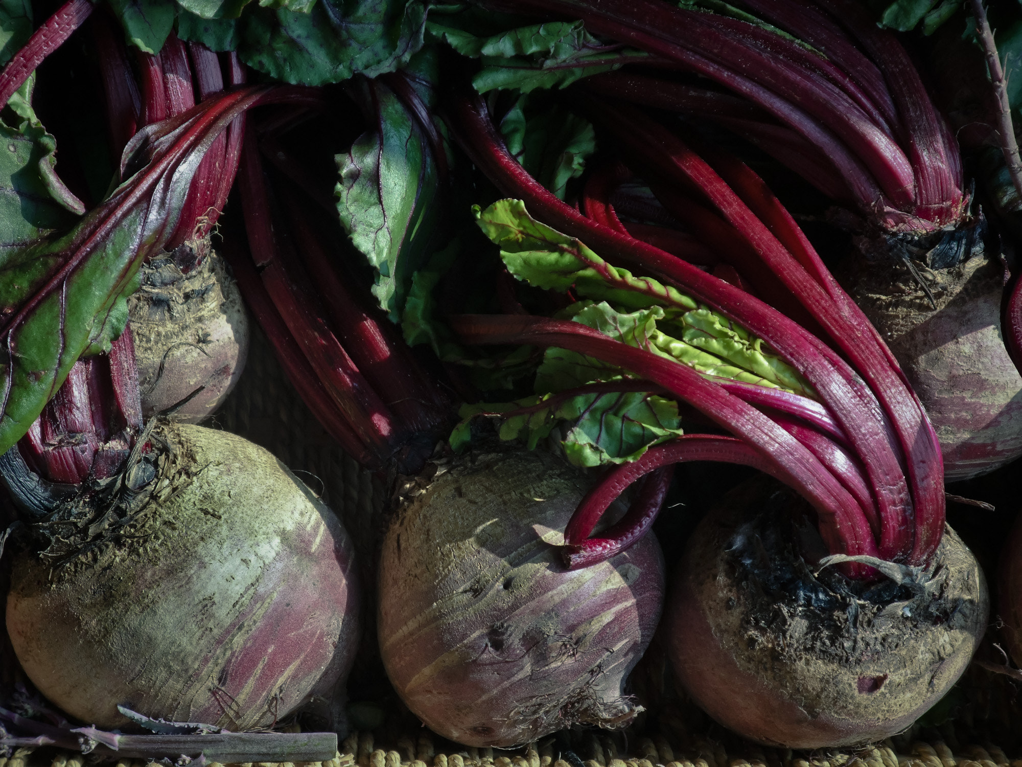 Fujifilm FinePix F100fd sample photo. Beetroot-9598.jpg photography