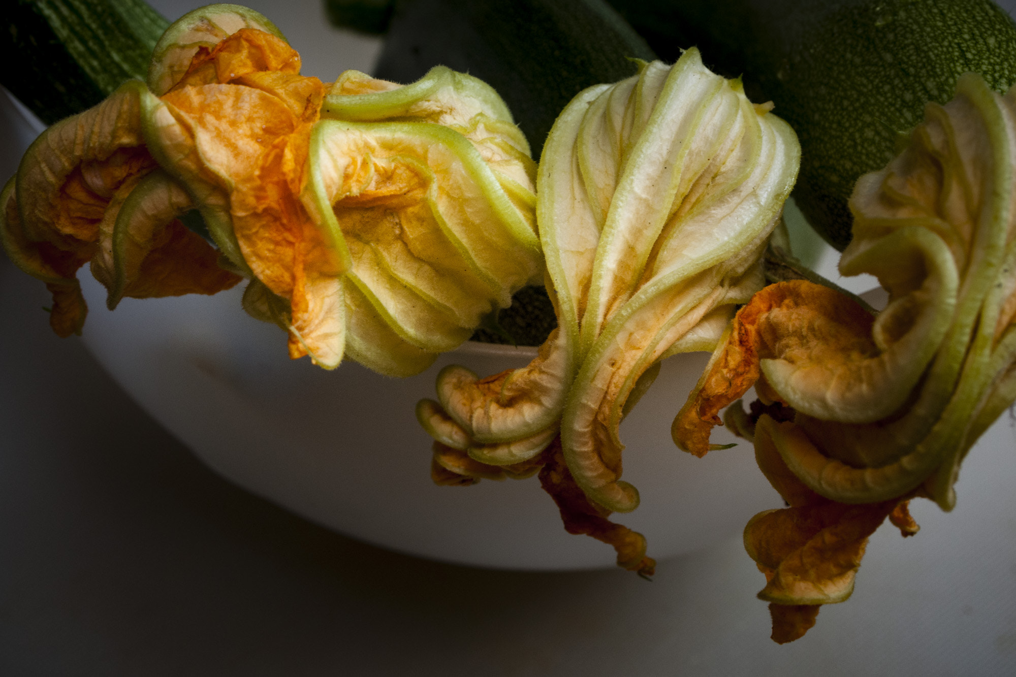Olympus PEN E-P1 sample photo. Courgette flowers-7263211.jpg photography