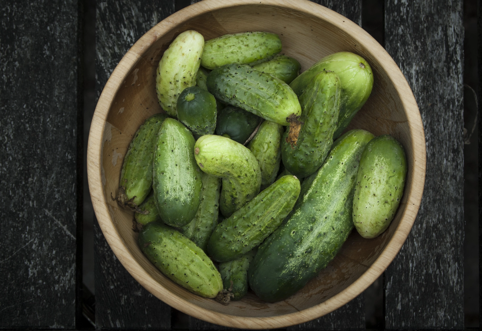 Olympus PEN E-P1 sample photo. Gherkins-8013466.jpg photography