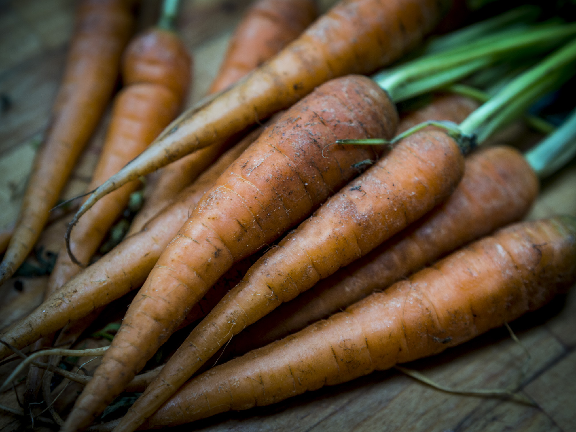 Olympus PEN E-PL3 + Olympus M.Zuiko Digital 45mm F1.8 sample photo. Carrots-7203185.jpg photography