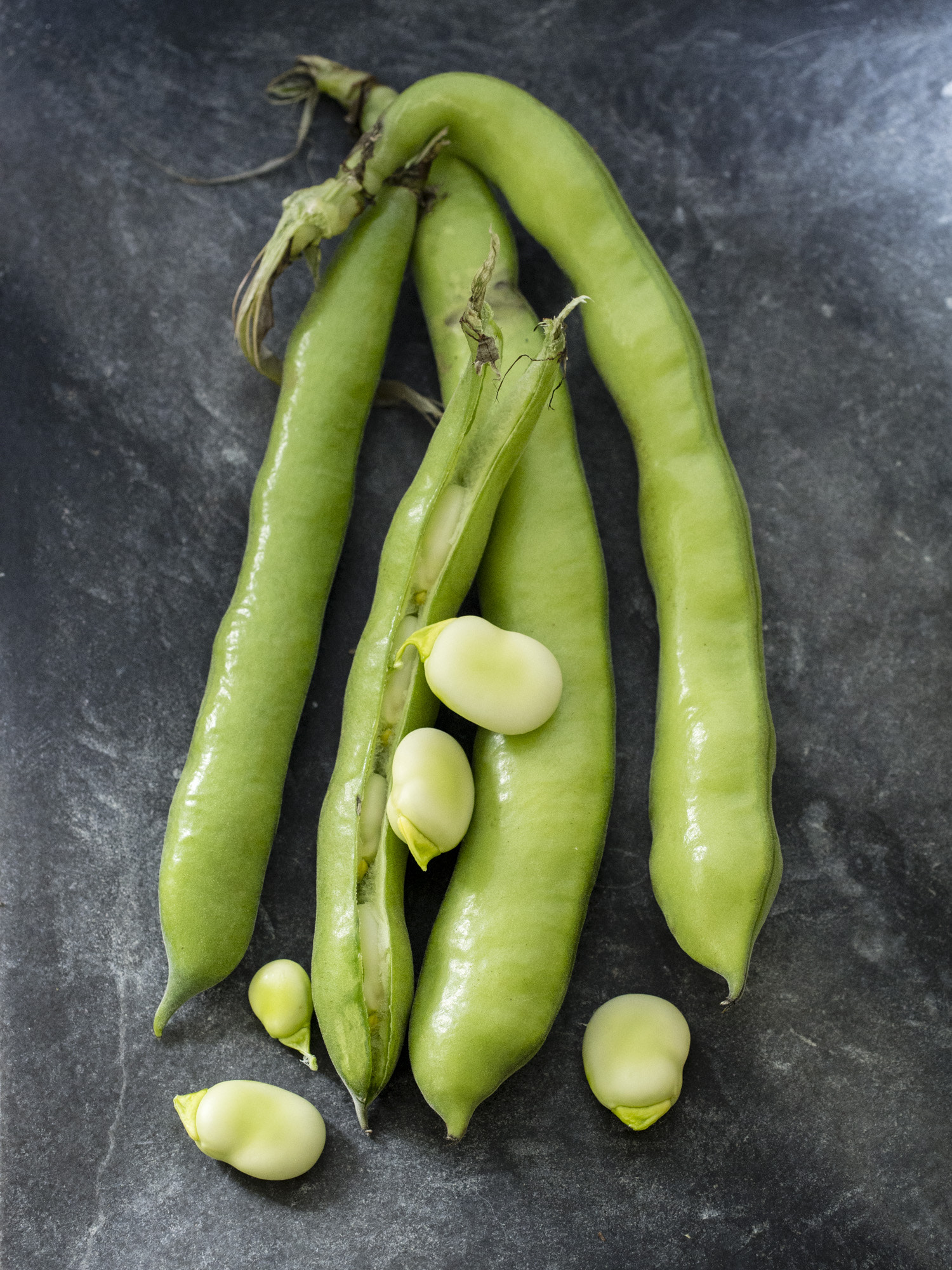 Olympus PEN E-PL5 sample photo. Broad beans-6260009.jpg photography