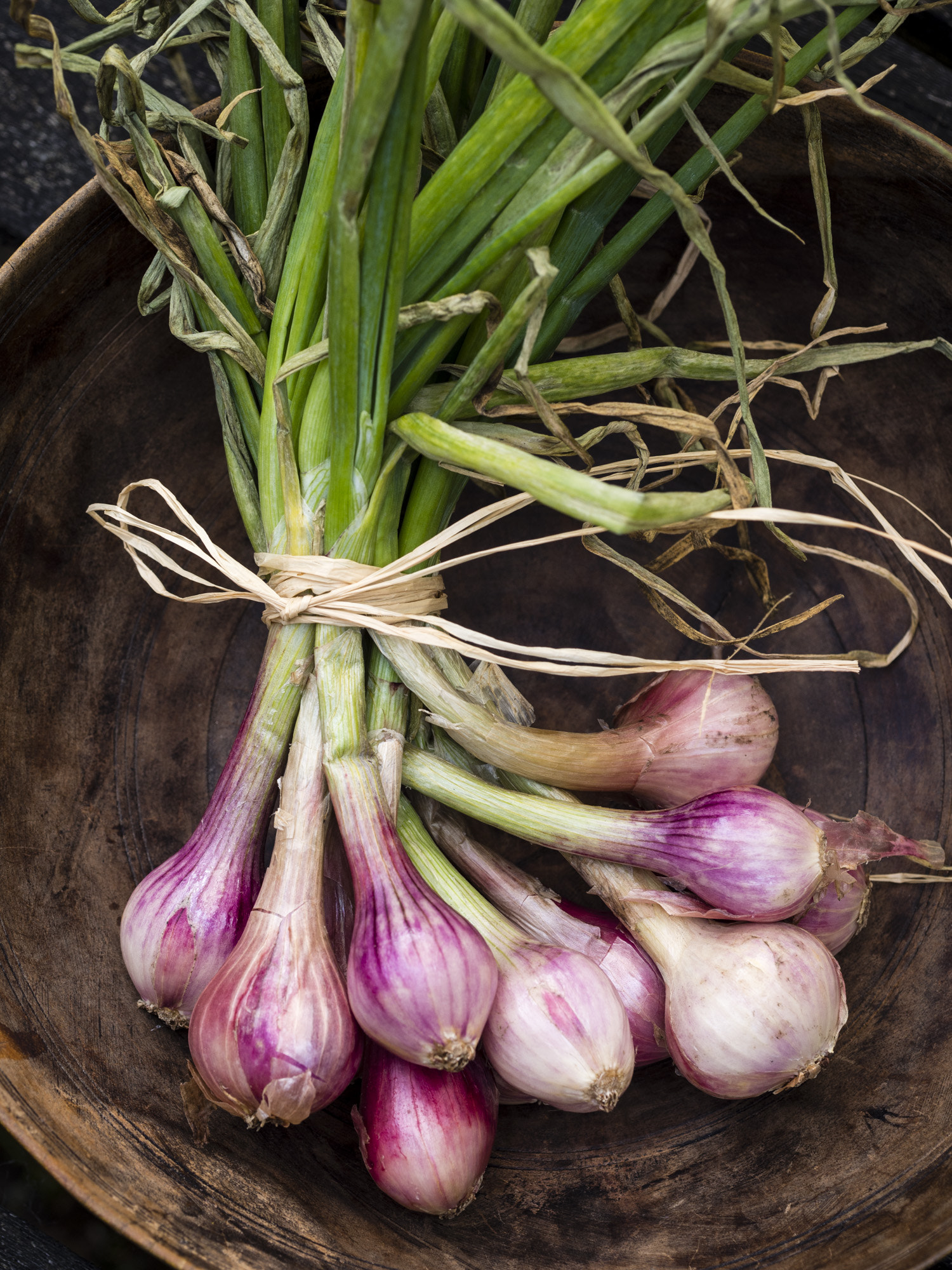 Olympus PEN E-PL5 sample photo. Shallots-7070005.jpg photography