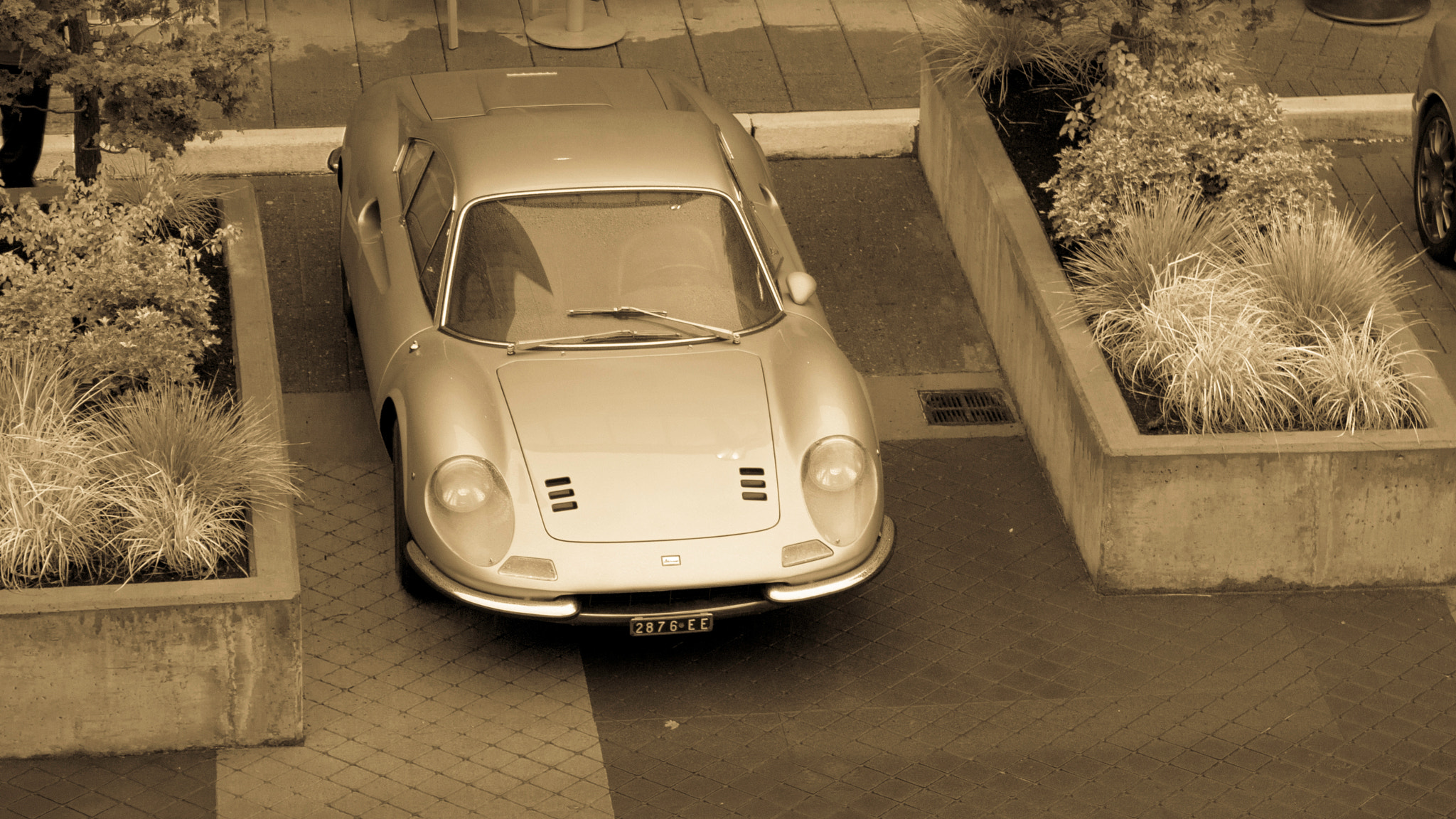 Canon EOS 700D (EOS Rebel T5i / EOS Kiss X7i) sample photo. Dino ferrari photography