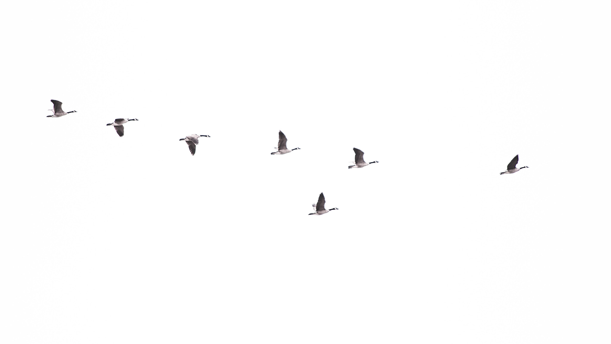 Pentax smc DA 55-300mm F4.0-5.8 ED sample photo. Fly me to the... photography