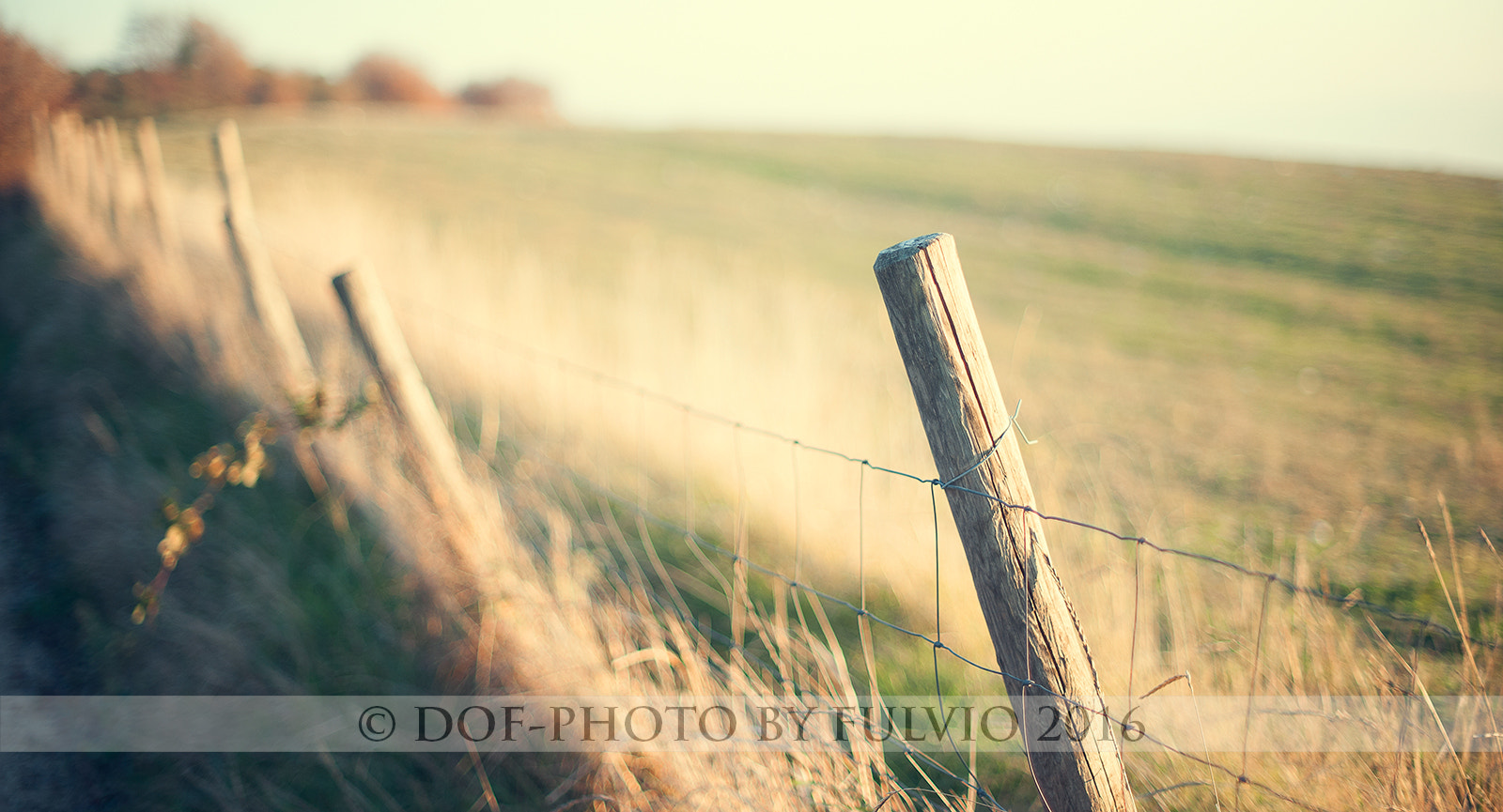 Nikon D3 sample photo. Fence classic photography