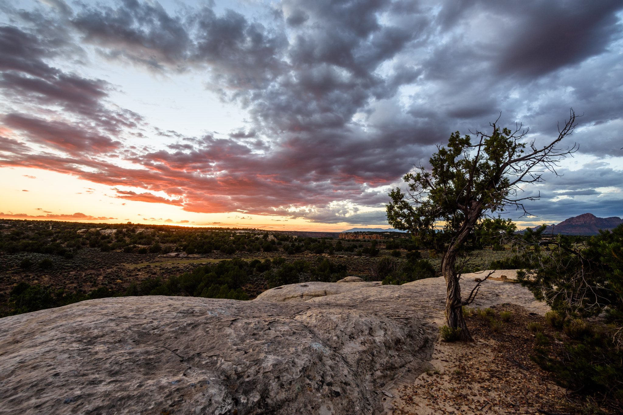 Samyang 14mm F2.8 ED AS IF UMC sample photo. Sunset in the backcountry, arizona photography