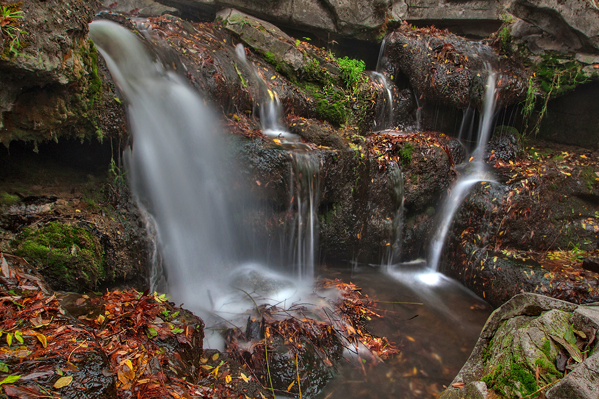 Sigma 10-20mm F3.5 EX DC HSM sample photo. Autumn photography