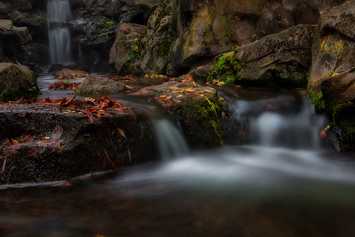 Sigma 10-20mm F3.5 EX DC HSM sample photo. Autumn (2) photography