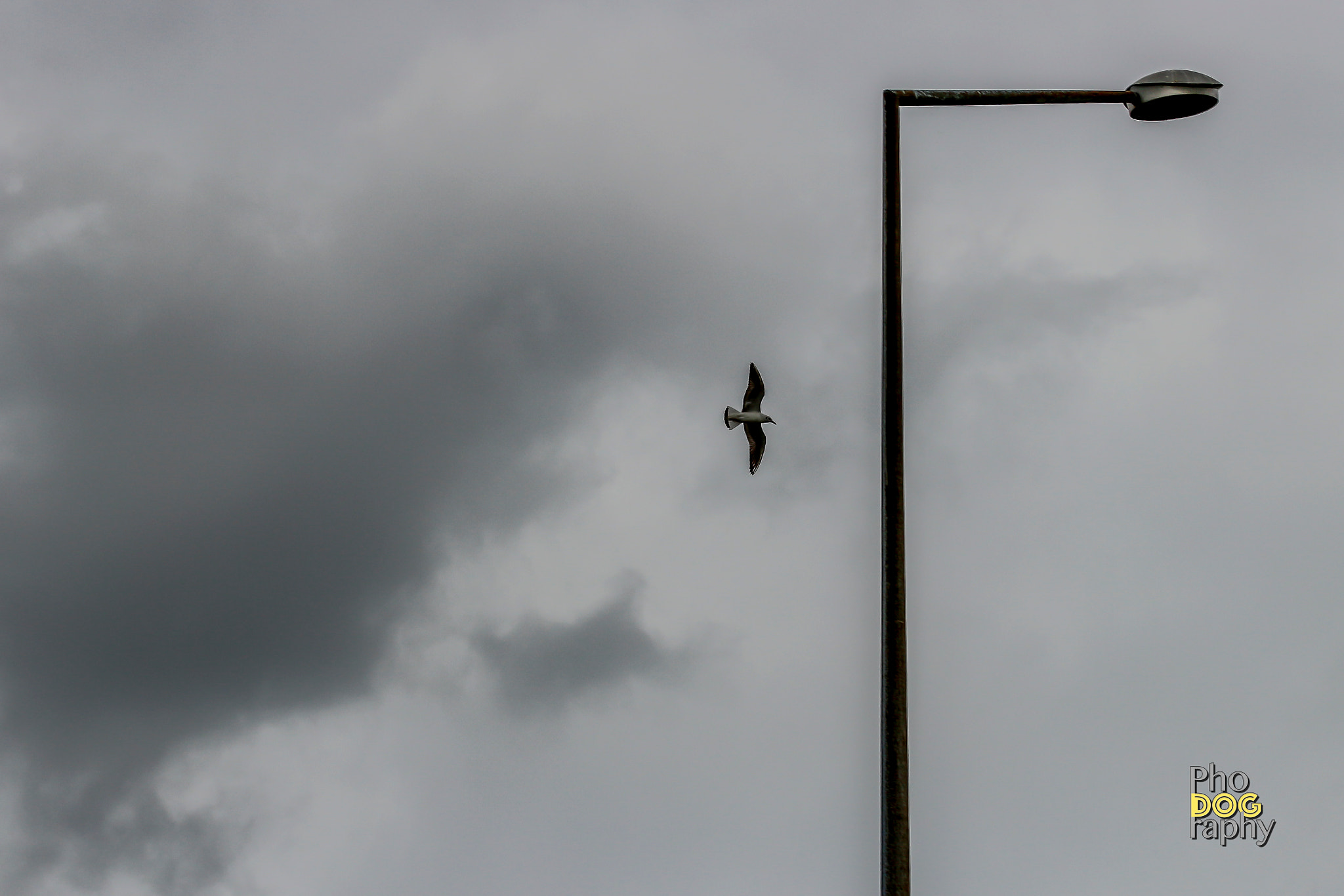 Sigma 105mm F2.8 EX DG OS HSM sample photo. This way photography