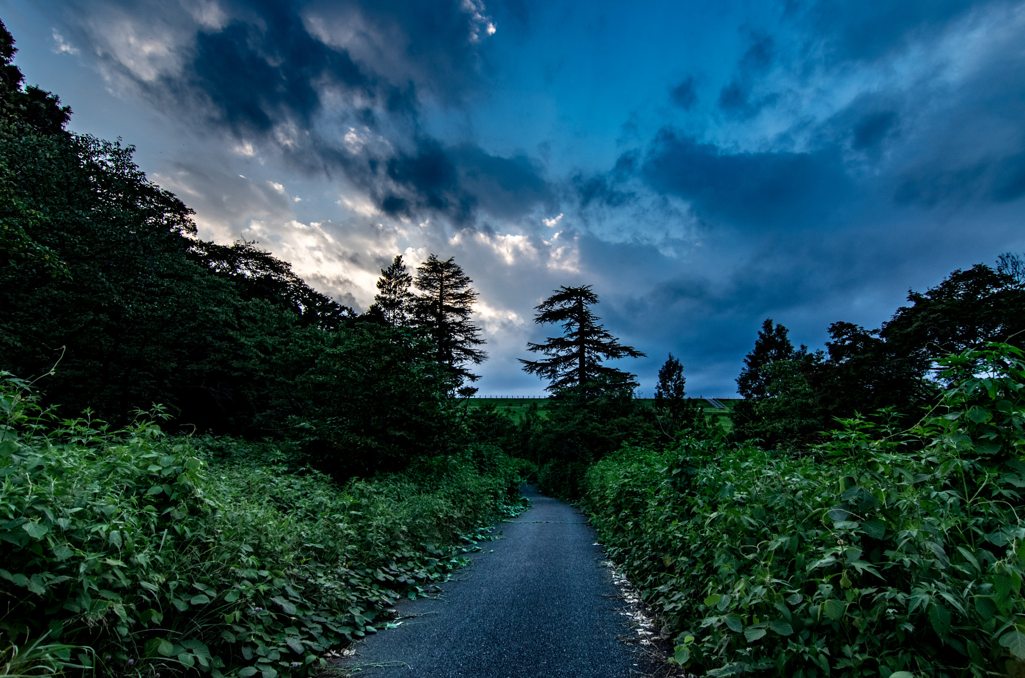 Pentax smc DA 12-24mm F4.0 ED AL (IF) sample photo. 夏の帰り道 photography