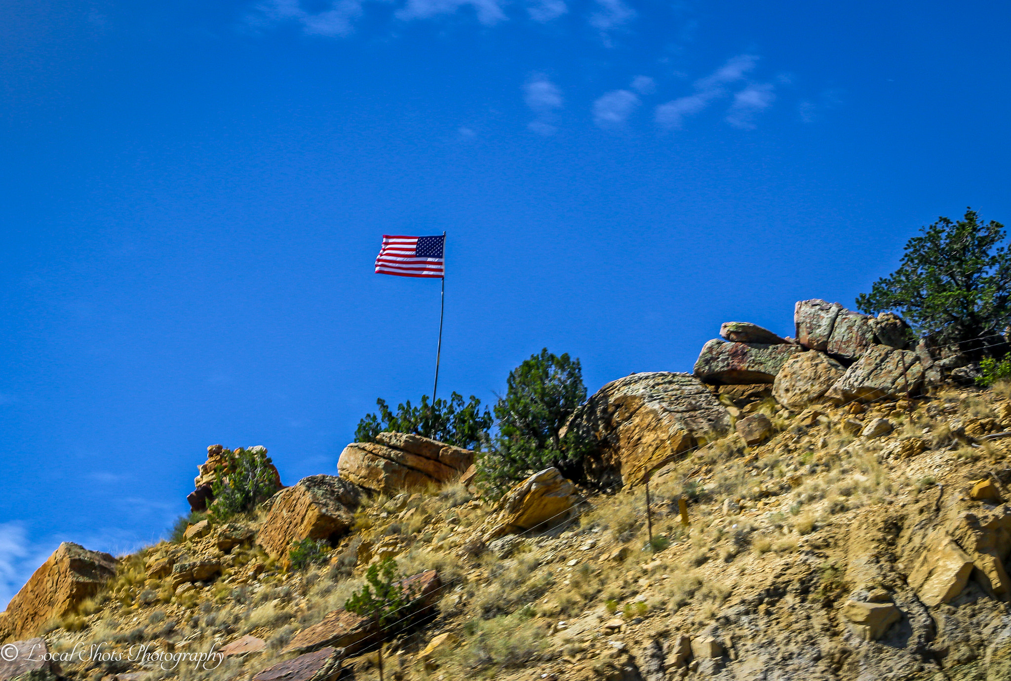 Canon EF 75-300mm f/4-5.6 USM sample photo. We stand tall photography