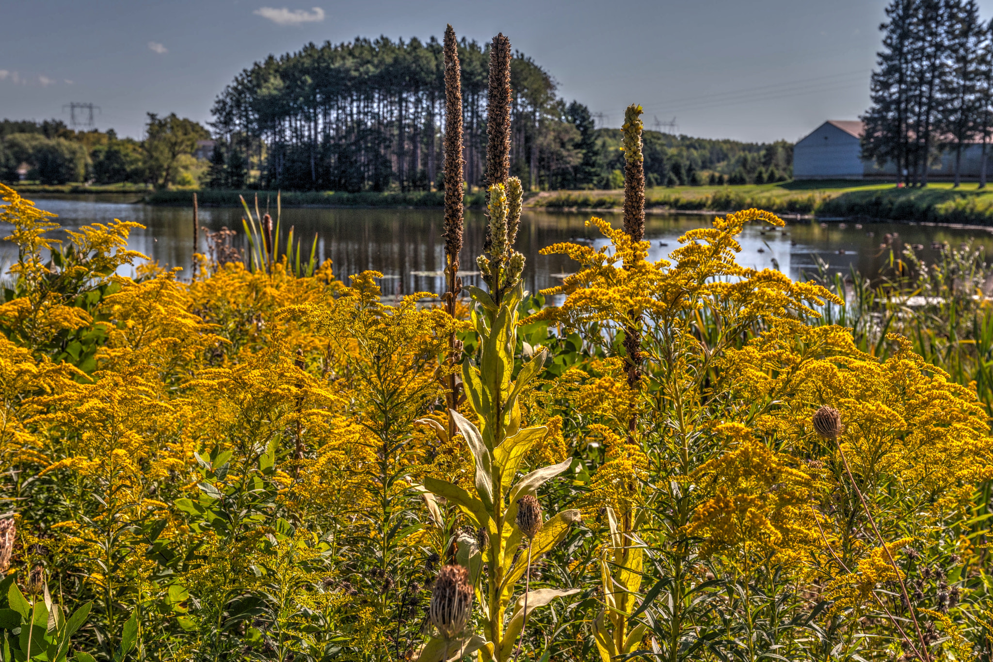 Canon EF 16-35mm F4L IS USM sample photo. Pontypool view photography