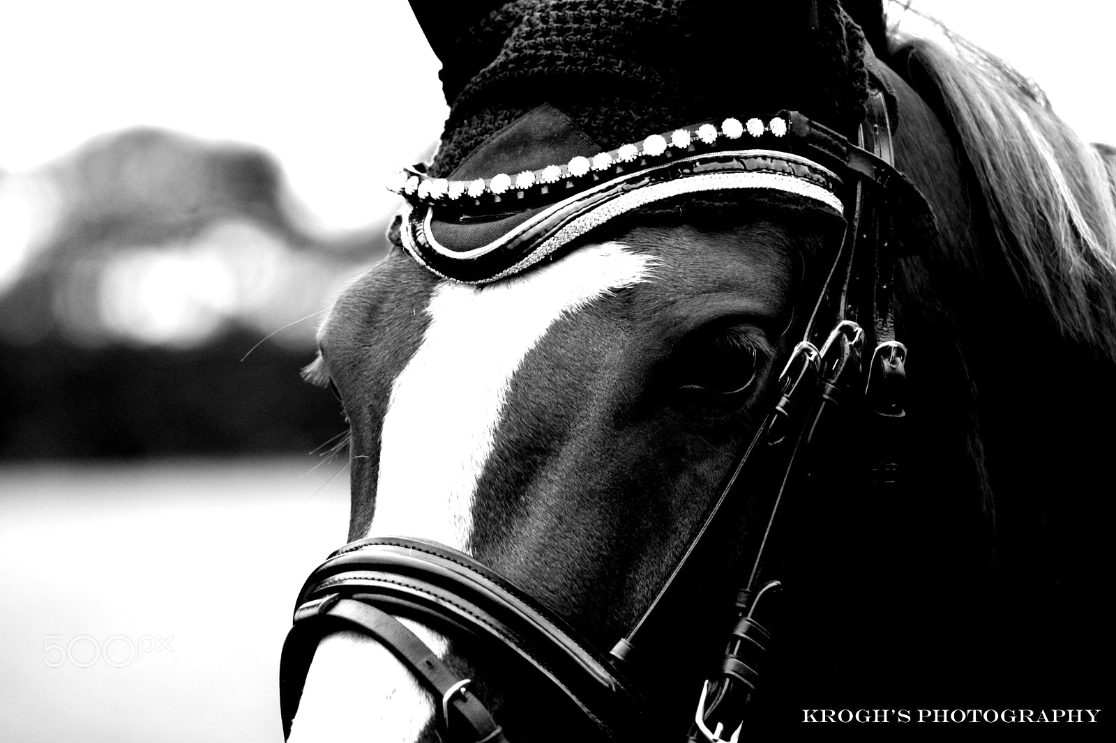 Nikon AF Nikkor 70-300mm F4-5.6G sample photo. Pandora vol2 photography
