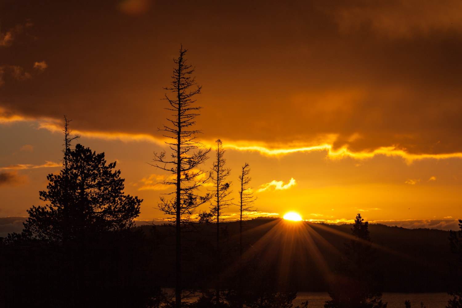 Sigma 150-500mm F5-6.3 DG OS HSM sample photo. Sunrise photography