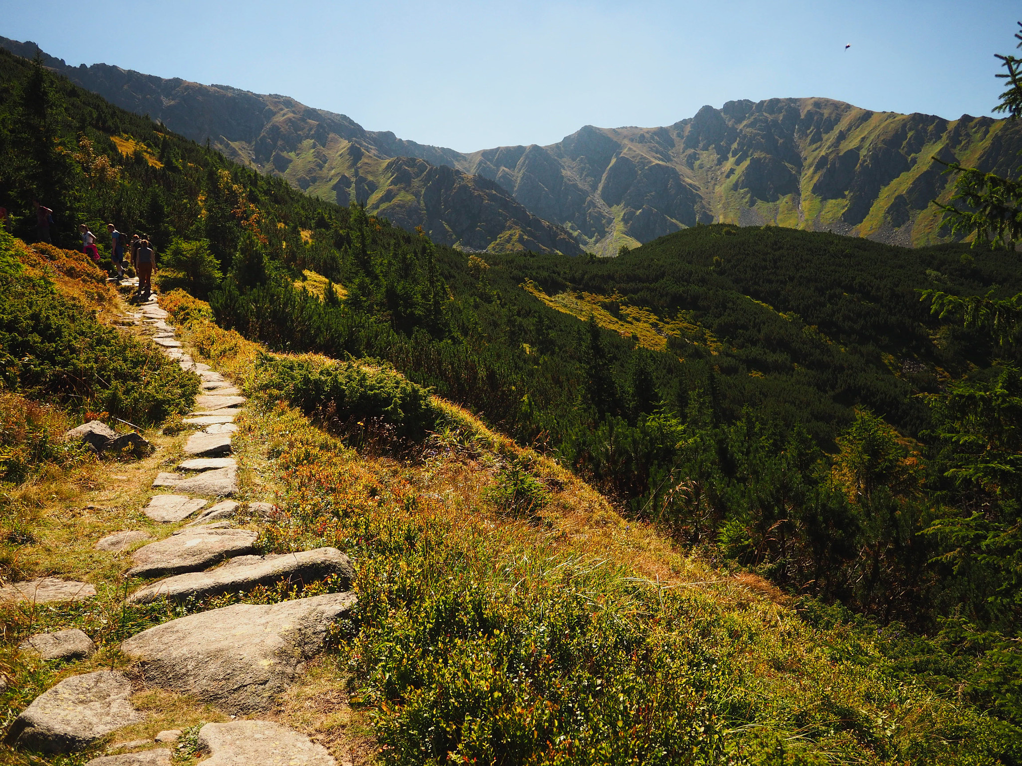 Olympus OM-D E-M10 + Panasonic Lumix G 14mm F2.5 ASPH sample photo. Picturesque foothpath photography