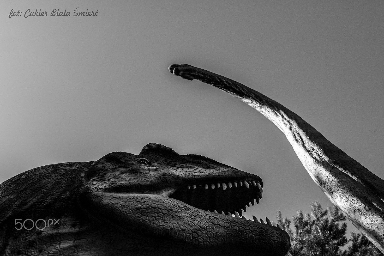 Sony Alpha DSLR-A700 + 24-70mm F2.8 sample photo. Lizard photography