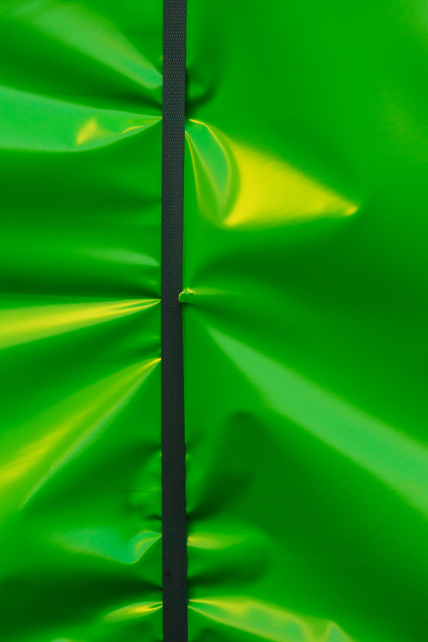 Sony 70-400mm F4-5.6 G SSM II sample photo. Packaged in green photography