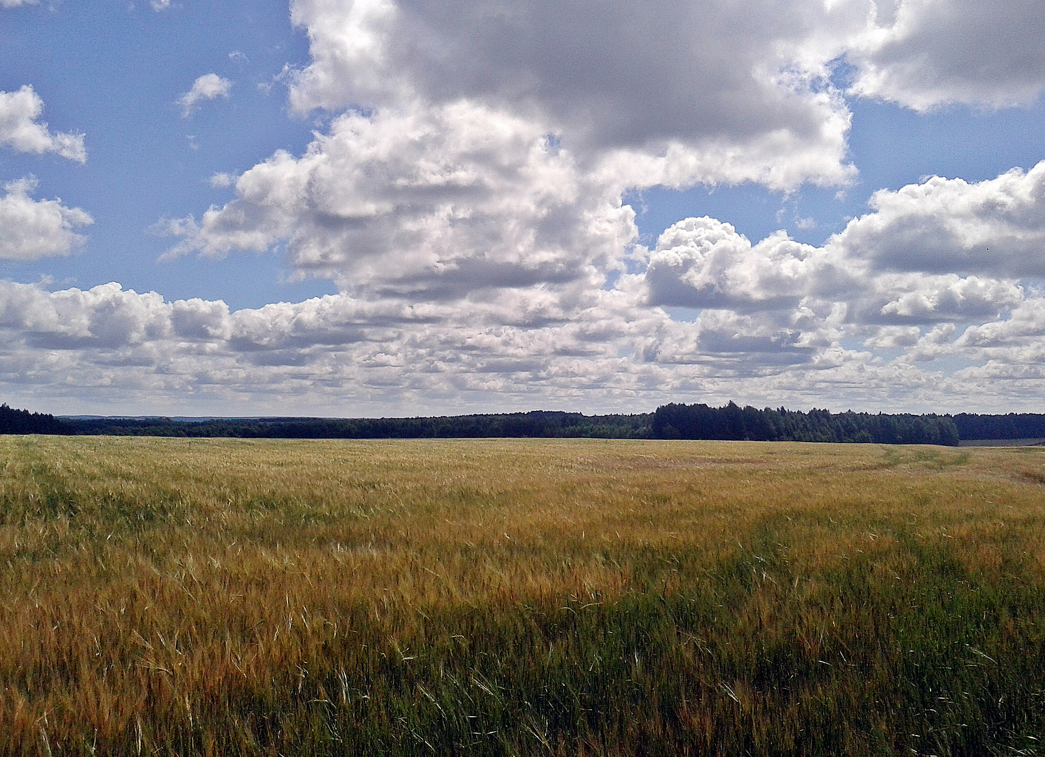 Samsung GT-S5610 sample photo. Sky photography