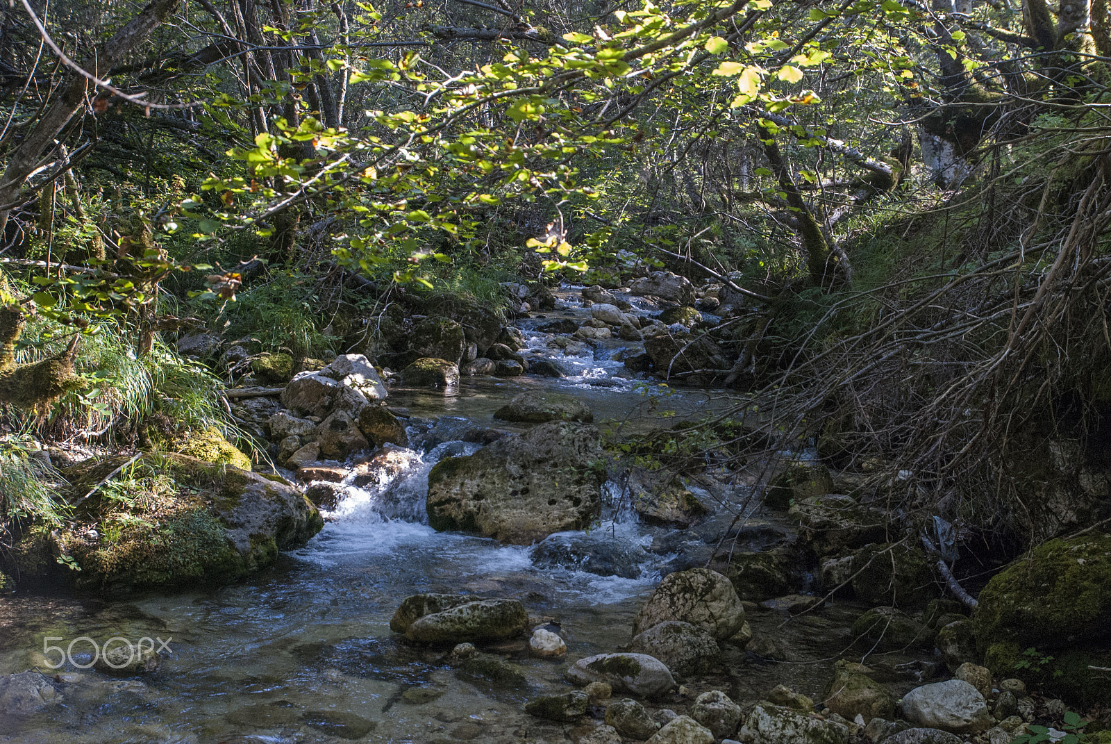 Nikon D80 sample photo. Camosciara e dintorni photography